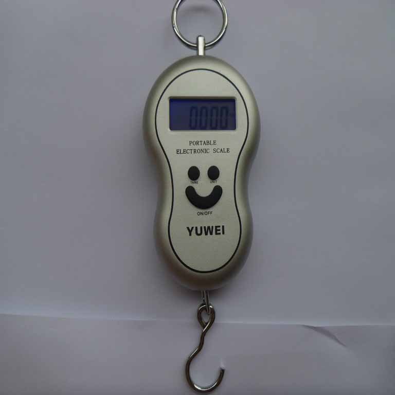 New Portable Electroni Hanging Scale YW-S001 